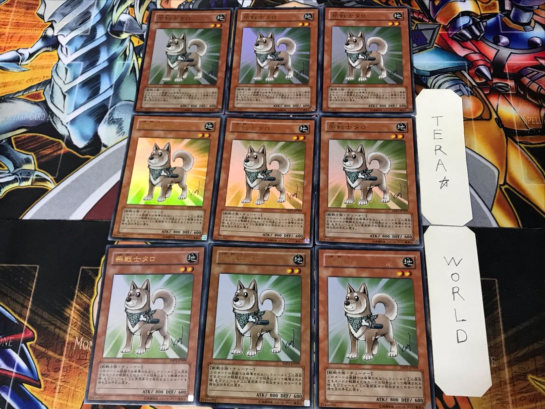 Shiba-Warrior Taro 3 Ultra 9-piece set Tera