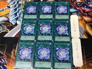 Rose Bud 1 Secret 9-card set Tera
