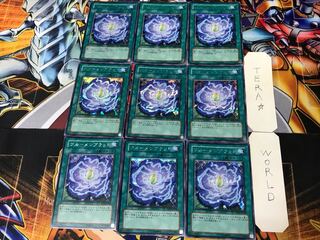 Rose Bud 2 Secret 9-card set Tera