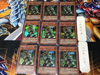 E・HERO フォレストマン 2 シークレット 9枚セット てら