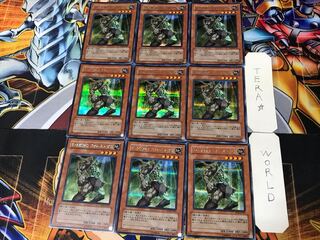 E・HERO フォレストマン 3 シークレット 9枚セット てら