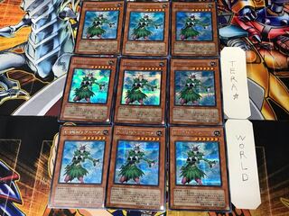 Elemental HERO Poison Rose 1 Secret 9-card set Tera 9枚