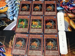 Lion Alligator 2 Secret 9-card set Tera