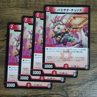 Haetata Chu Squirrel C 78/95