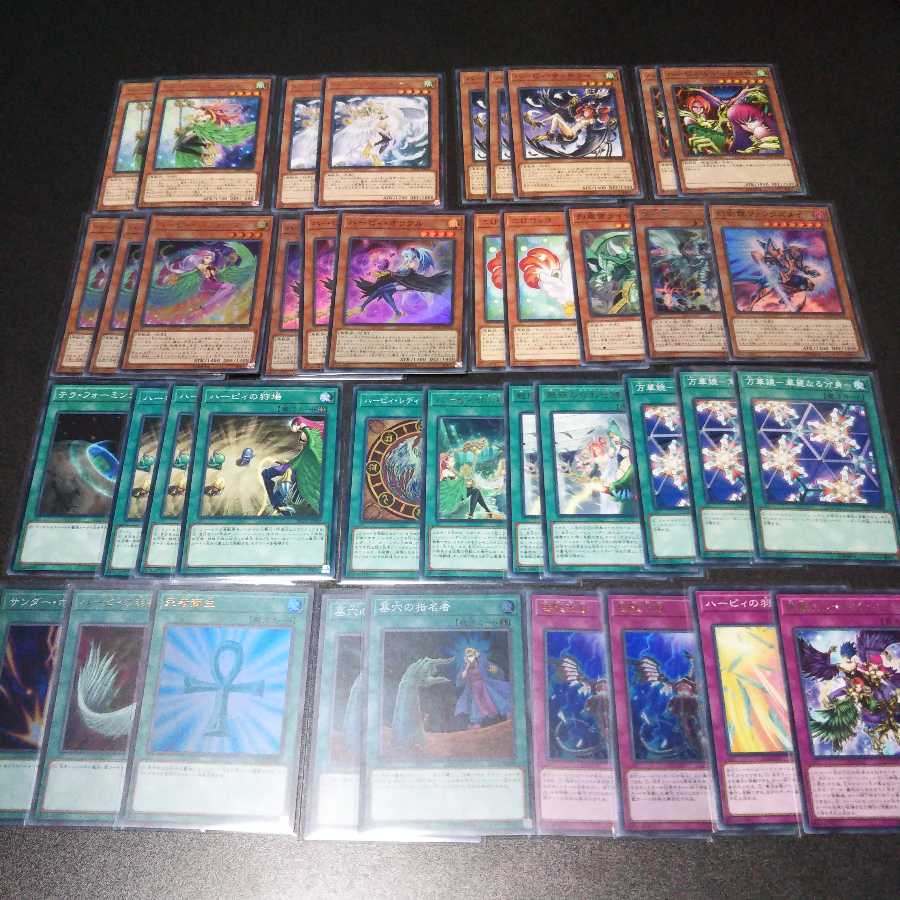 本格構築ハーピィデッキ EXデッキ・メイン調整パーツ付き