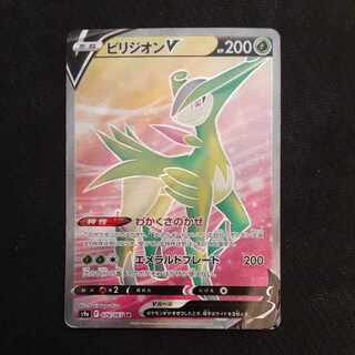 ビリジオンV SR 074/067