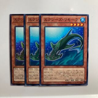 エクシーズ・リモーラ $3395