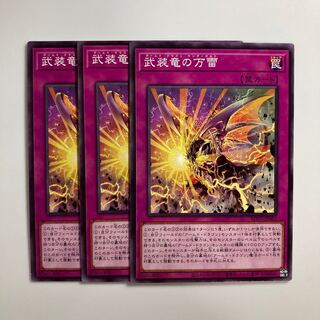 武装竜の万雷 $3414