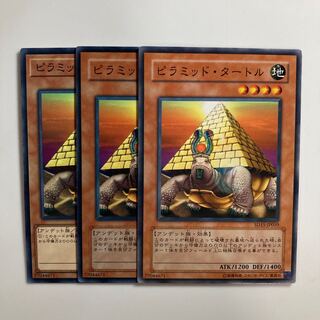 8643 Pyramid Turtle $3419