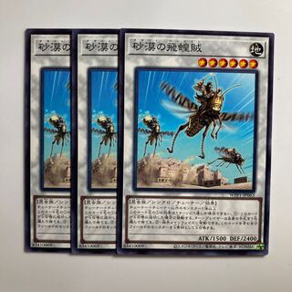 Desert Locusts $3481