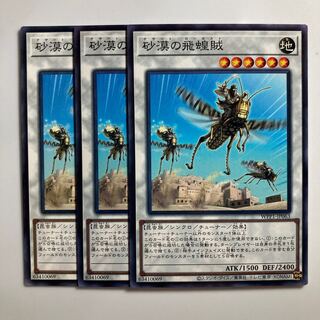 Desert Locusts $3482