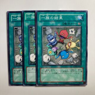 8676 Solidarity Normal JP054