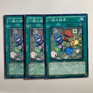 8677 Solidarity $3489