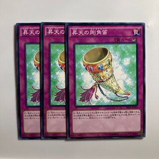 昇天の剛角笛 $3507