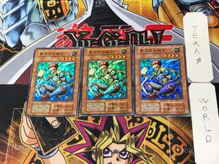 D.D. Warrior 1 Early Super 3-pc. set, Tera.