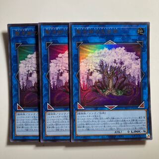 Sunavalon Dryatrentiay Ultra Rare JP034 $3522 1枚