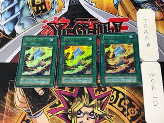 Salamandra 4 Early Ultra Set of 3 Tera