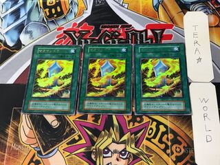 Salamandra 5 Early Ultra Set of 3 Tera