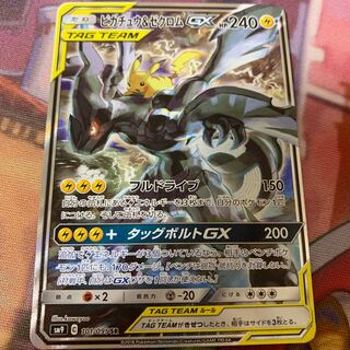 ピカチュウ &ゼクロム