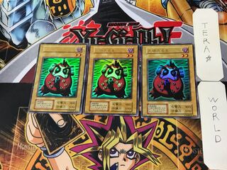 Dharma Cannon 10 Early Ultra Set of 3 Tera