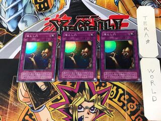 Pit Trap 2nd period ver 4 Super set of 3 Tera