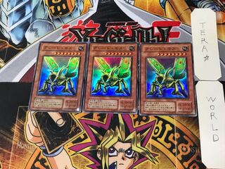 Great Moth 2nd period ver 1 Super set of 3 Tera