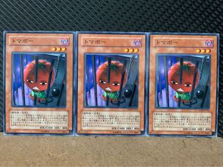 【ぽぽたん】遊戯王 3852 トマボー 3枚 ノーマル