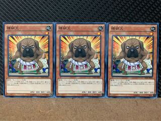 【ぽぽたん】遊戯王 6291 横綱犬 3枚 ノーマル