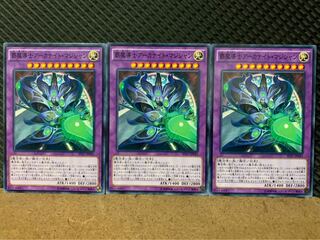 【ぽぽたん】遊戯王 7441 覇魔導士アーカナイト・マジシャン 3枚 ノーマル