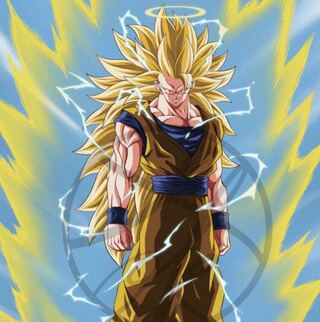 超フルパワーサイヤ人様専用