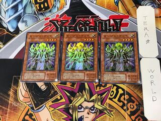 Senju of the Thousand Hands 2nd period ver 5 Super set of 3 Tera