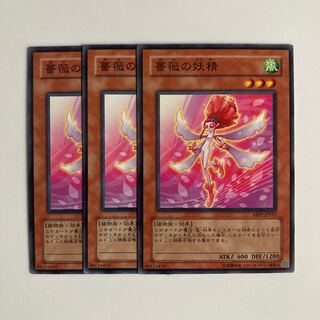 薔薇の妖精　$3588