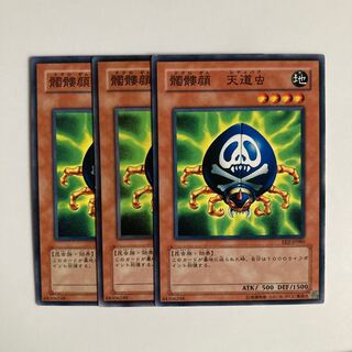 8727 Skull-Mark Ladybug $3608