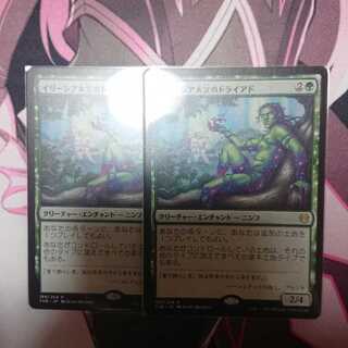 イリーシア木立のドライアド 2枚