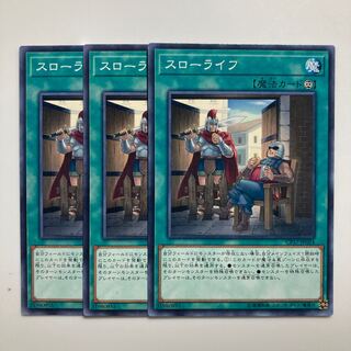 8730 Quiet Life $3623