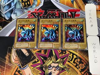 砦を守る翼竜 2期ver 7 スーパー 3枚セット てら