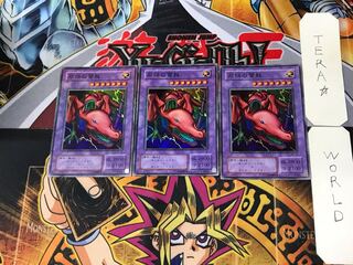 Twin-Headed Thunder Dragon 2nd period ver 5 Super set of 3 Tera