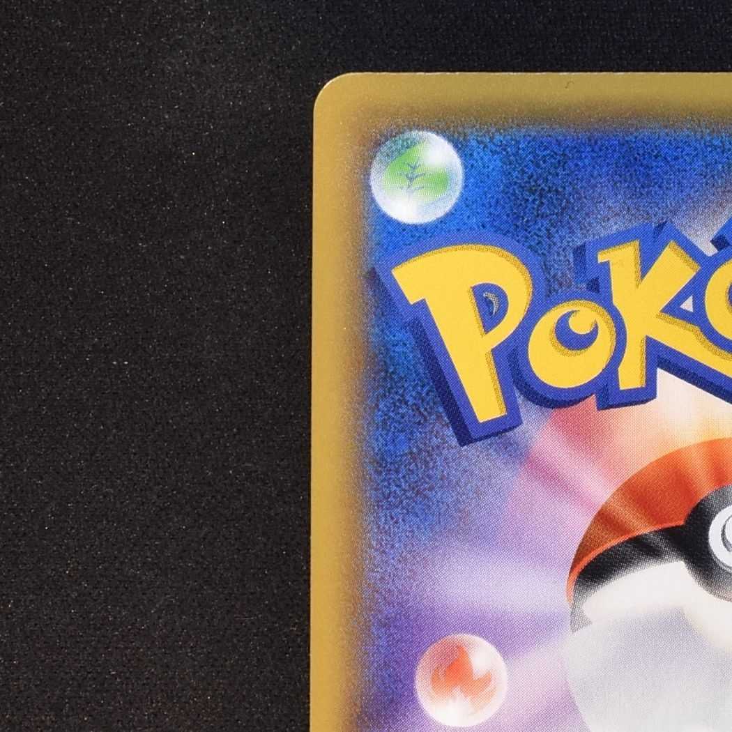 Beautiful] Erika's Hospitality SR 190/173