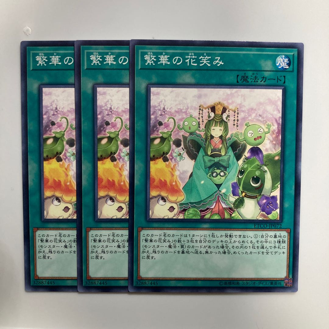 8740 Flourishing Frolic $3645