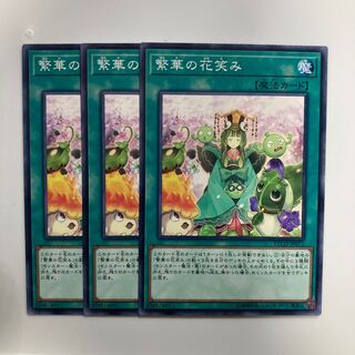 8740 繁華の花笑み ノーマルレア JP072