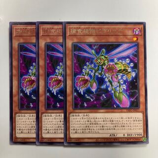 Prey Upon Plant Bib Squirrel Pu $3659