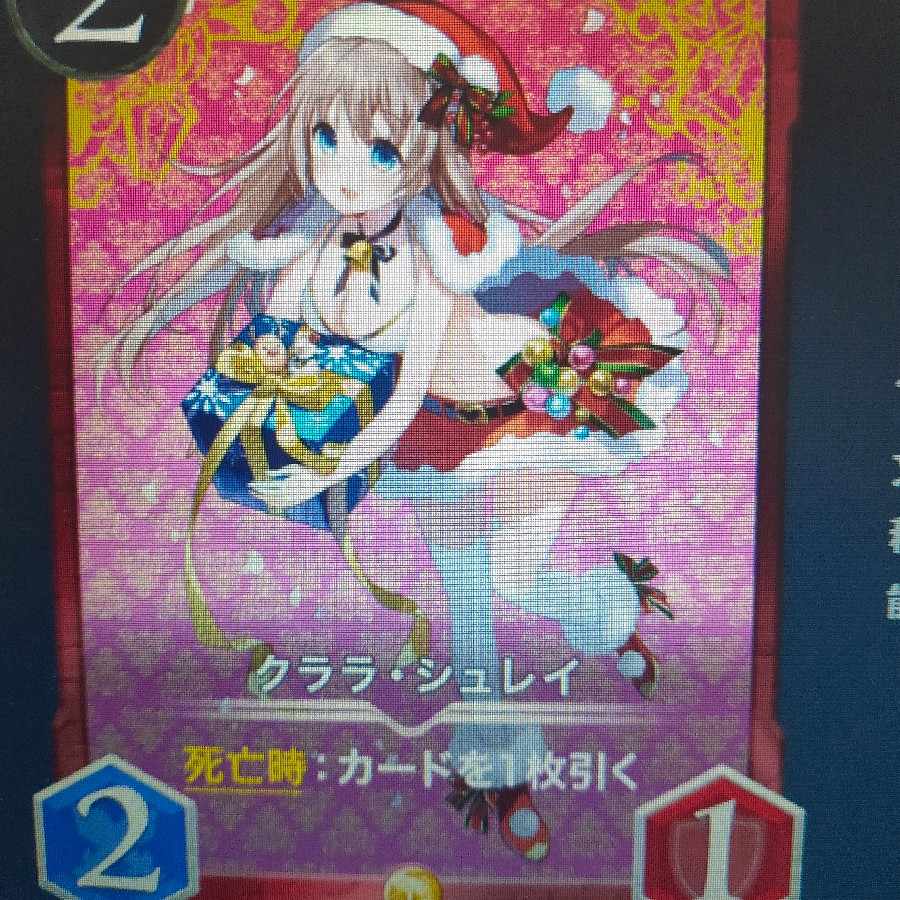 2枚組 クララシュレイ