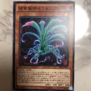 Yu-Gi-Oh SPFE Predaplant Sarraceniant Normal