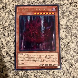 天威龍-ヴィシュダ レア JP016