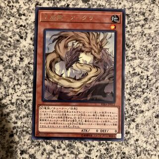Tenwei Ryu - Ardala Rare JP012
