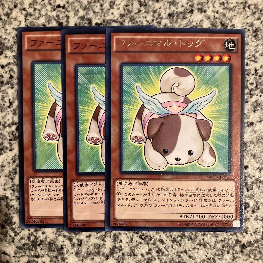 Fluffal Dog Normal JP016