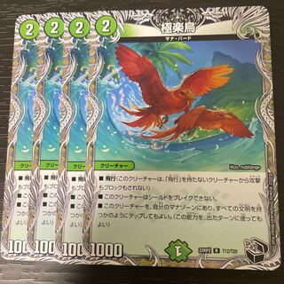 Birds of Paradise (Black Treasure) R T12/T20 Set of 4