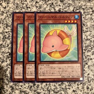 Fluffal Dolphin Normal JP021