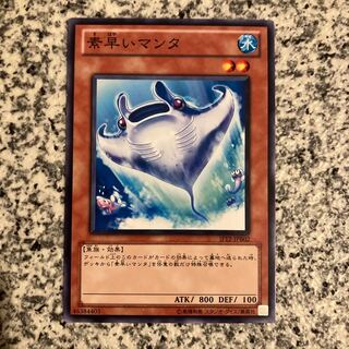 素早いマンタ ノーマル JP009