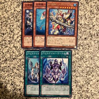 Water Seiryo scale set 1枚